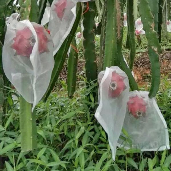 garden plant fruit protect drawstring mesh net bag anti bird netting keeps out insects pests birds and other animals
garden plant fruit protect drawstring mesh net bag anti bird netting keeps out insects pests birds and other animals