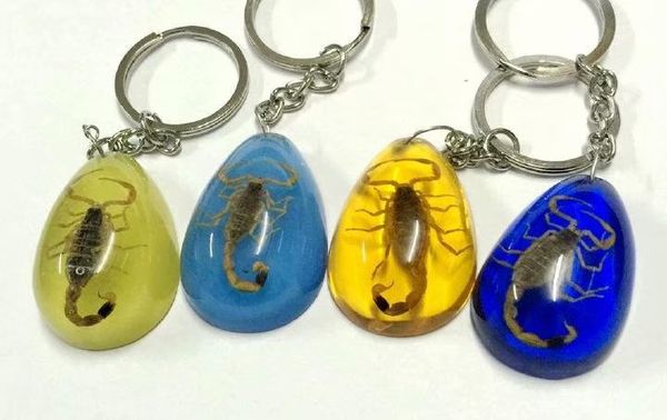 yqtdmy 10 pcs trendy accessories mixed color drop gothic scorpion keychain, Slivery;golden
yqtdmy 10 pcs trendy accessories mixed color drop gothic scorpion keychain, Slivery;golden