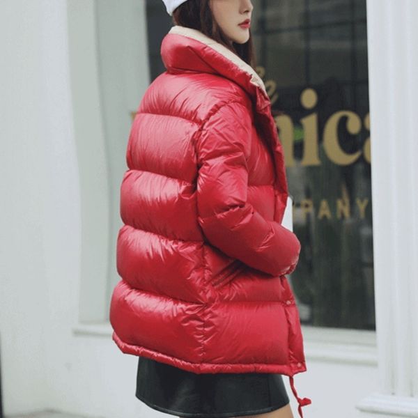 women straight down jacket winter thicken warm long sleeve zipper casual outwear female street white duck down coat, Black
women straight down jacket winter thicken warm long sleeve zipper casual outwear female street white duck down coat, Black