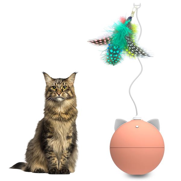 creative smart cat toy p02 automatic funny cat toy feather version led light cat ear cycle work pet toy without noise #4
creative smart cat toy p02 automatic funny cat toy feather version led light cat ear cycle work pet toy without noise #4
