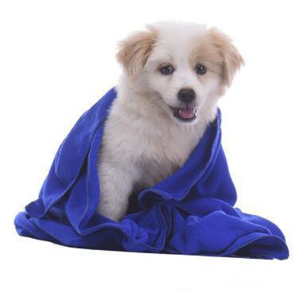 40*60cm pet supplies microfiber dog towel drying towels fashion pet bath towels hypoallergenic chemical cleaning cloth 100pcs an2635
40*60cm pet supplies microfiber dog towel drying towels fashion pet bath towels hypoallergenic chemical cleaning cloth 100pcs an2635