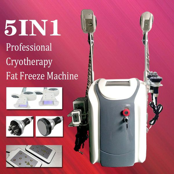 6 in1 ultrasonic cavitation rf skin tighteninng fat e machine liposuction machine two criolipolisis handles can work together
6 in1 ultrasonic cavitation rf skin tighteninng fat e machine liposuction machine two criolipolisis handles can work together