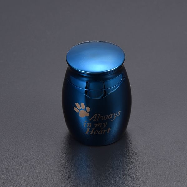pt008 никогда не увядает синий цвет всегда в моем сердце мини кремационная урна держит пепел домашних животных печатный кремационный кувшин, Silver
pt008 никогда не увядает синий цвет всегда в моем сердце мини кремационная урна держит пепел домашних животных печатный кремационный кувшин, Silver