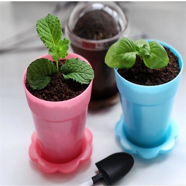 30set pot cake cup ice cream pot chaff cup mousse yogurt with lid and spoon and tray ing
30set pot cake cup ice cream pot chaff cup mousse yogurt with lid and spoon and tray ing