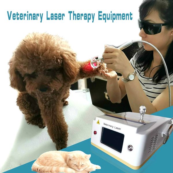 2020 medical animals wound healing dogs pain relieve instrument lllt veterinary use cold laser therapy device ce ceretificated
2020 medical animals wound healing dogs pain relieve instrument lllt veterinary use cold laser therapy device ce ceretificated