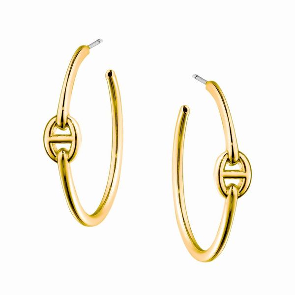 american c-shaped pig nose earrings female temperament fashion trendy personality cold wind metal semicircle earrings, Golden;silver
american c-shaped pig nose earrings female temperament fashion trendy personality cold wind metal semicircle earrings, Golden;silver
