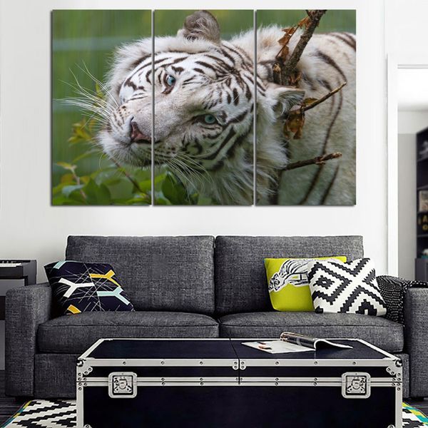 3piece modern printed tiger canvas painting cuadros picture animal landscape oil paintings for living room (no frame
3piece modern printed tiger canvas painting cuadros picture animal landscape oil paintings for living room (no frame