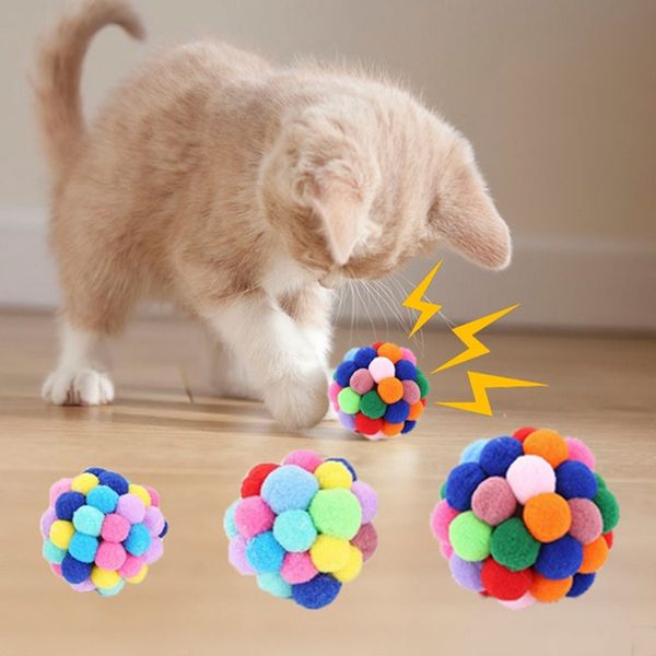 pet kitten colorful ball toys cat catch exercise interactive play toys for cat kitten having fun exercise playing
pet kitten colorful ball toys cat catch exercise interactive play toys for cat kitten having fun exercise playing