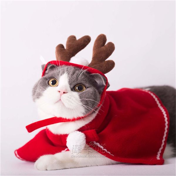 red cute pet cat clothing christmas party puppy cat clothes costumes lovely cloaks mantle with buckhorn set suit for cats
red cute pet cat clothing christmas party puppy cat clothes costumes lovely cloaks mantle with buckhorn set suit for cats