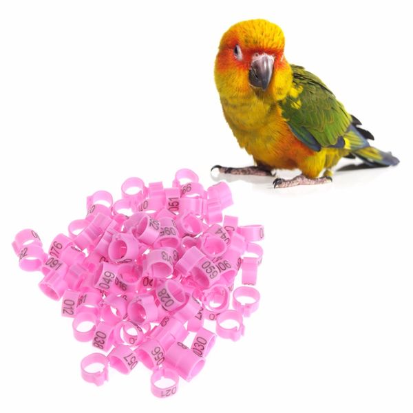 100pcs 10mm identify ring carrier pigeon training supplies leg number bird bands foot rings birds supplies multicolor c42
100pcs 10mm identify ring carrier pigeon training supplies leg number bird bands foot rings birds supplies multicolor c42