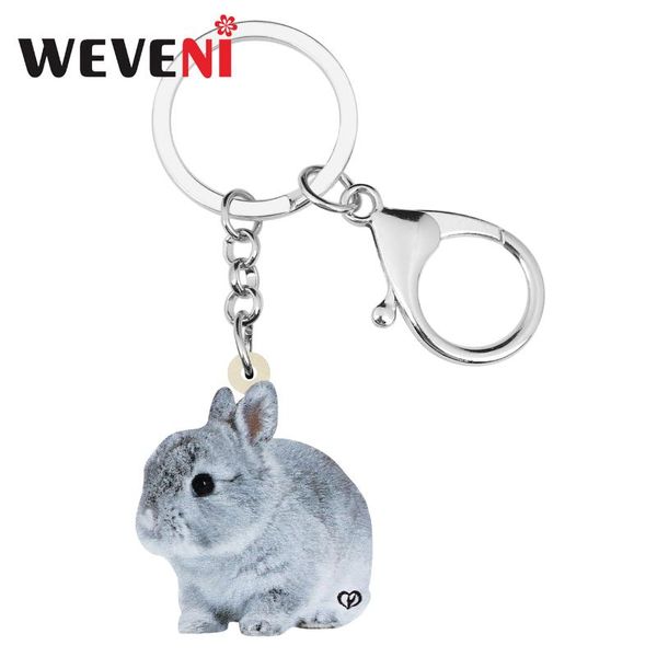 weveni acrylic gray easter hare keychains pet animal keyring jewelry for women men festival gifts car accessories, Silver
weveni acrylic gray easter hare keychains pet animal keyring jewelry for women men festival gifts car accessories, Silver