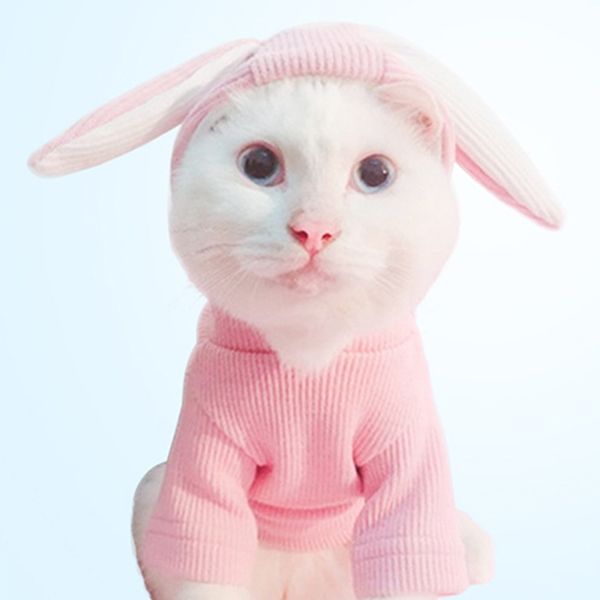 cute solid dog hoodie fashion knitted soft winter costume pet cat puppy sweater spring autumn sweatshirt rabbit ear
cute solid dog hoodie fashion knitted soft winter costume pet cat puppy sweater spring autumn sweatshirt rabbit ear
