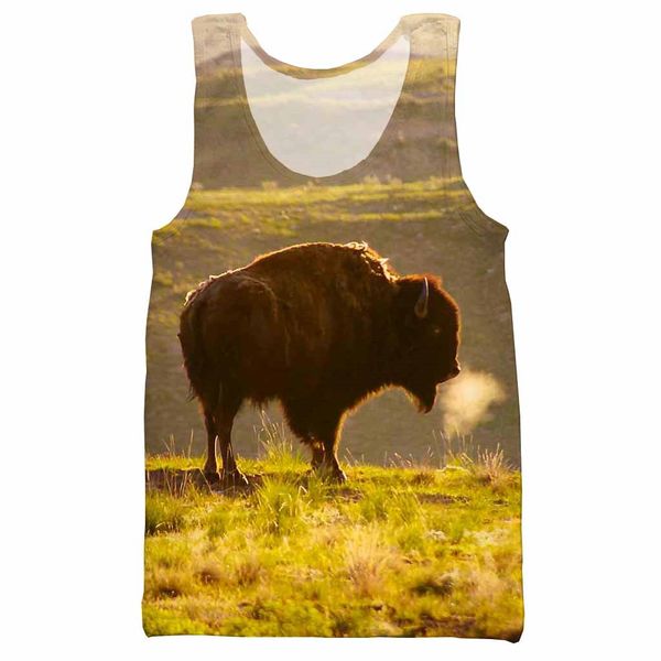 american bison 3d printed tank for men fashion cool summer tank work out men women halter, White;black
american bison 3d printed tank for men fashion cool summer tank work out men women halter, White;black