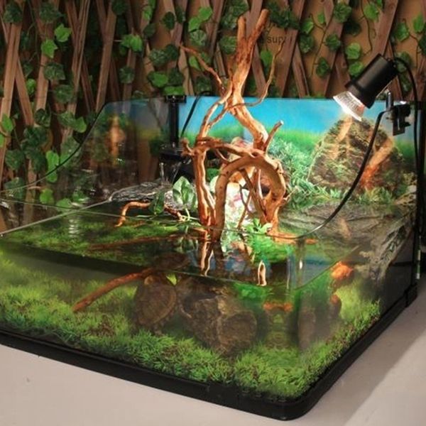 natural tree trunk driftwood aquarium fish tank reptile cylinder making roots plant wood decoration ornament
natural tree trunk driftwood aquarium fish tank reptile cylinder making roots plant wood decoration ornament
