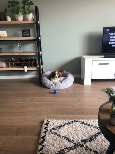warm round dog bed 7 sizes round pet lounger cushion for small medium large dogs & cat winter dog kennel puppy mat pet bed
warm round dog bed 7 sizes round pet lounger cushion for small medium large dogs & cat winter dog kennel puppy mat pet bed