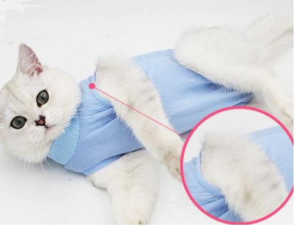 est sale cat flexible surgery female cat sterilization weaning pet cat coat anti-licking after surgery protective clothing
est sale cat flexible surgery female cat sterilization weaning pet cat coat anti-licking after surgery protective clothing