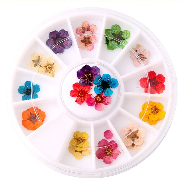 2020 ng new wholesale ptherapy nails dried flowers manicure tools false fingernails exercise nail tool dhl, Black
2020 ng new wholesale ptherapy nails dried flowers manicure tools false fingernails exercise nail tool dhl, Black