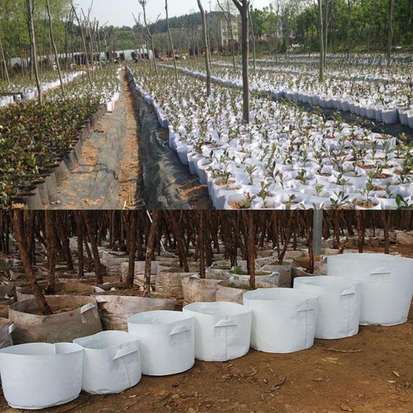 seedling raising bags plants pouch fiber nursery pots garden supplies non-woven planting bags fabric seedling bag
seedling raising bags plants pouch fiber nursery pots garden supplies non-woven planting bags fabric seedling bag