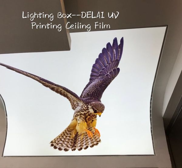 vivid tiger running printing ceiling film black background stretch ceiling film with fluorescent backlit
vivid tiger running printing ceiling film black background stretch ceiling film with fluorescent backlit