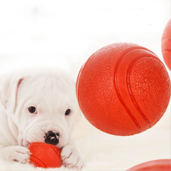 dog toy rubber ball chew toys bite-resistant dogs puppy teddy pitbull pet supplies for small medium large dogs puppy toys
dog toy rubber ball chew toys bite-resistant dogs puppy teddy pitbull pet supplies for small medium large dogs puppy toys