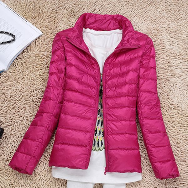 plus size ultra lightweight thin white duck down jackets women stand collar down coats for autumn, Black
plus size ultra lightweight thin white duck down jackets women stand collar down coats for autumn, Black