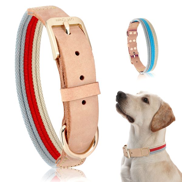 dog collar genuine leather polyester webbing small medium large dog collars comfortable durable pet collars for dogs blue red
dog collar genuine leather polyester webbing small medium large dog collars comfortable durable pet collars for dogs blue red