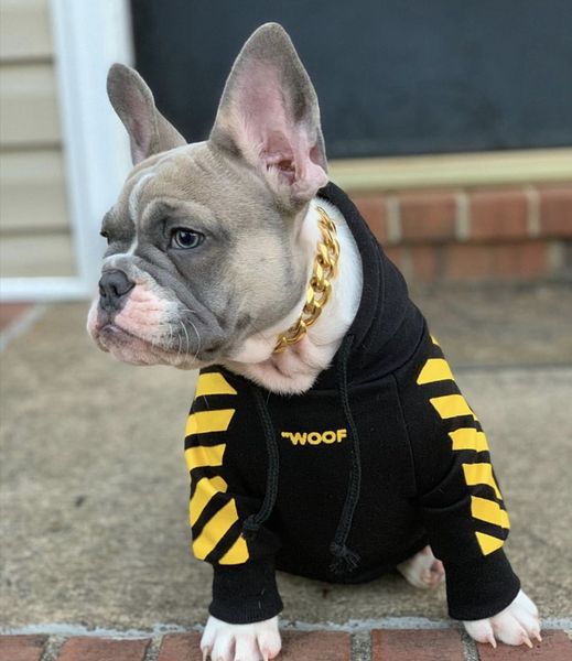 designer brand pet hoodies stripe pet clothes tide dog sweatshirts with hat teddy bulldog schnauzer clothes s-2xl
designer brand pet hoodies stripe pet clothes tide dog sweatshirts with hat teddy bulldog schnauzer clothes s-2xl