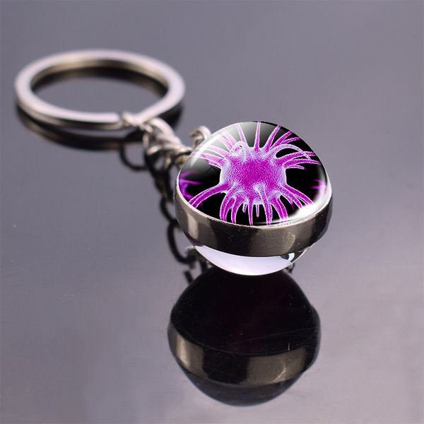 biological virus cancer cells p glass ball keychain key ring bag pendant cancer research products gifts for biologist doctor, Slivery;golden
biological virus cancer cells p glass ball keychain key ring bag pendant cancer research products gifts for biologist doctor, Slivery;golden