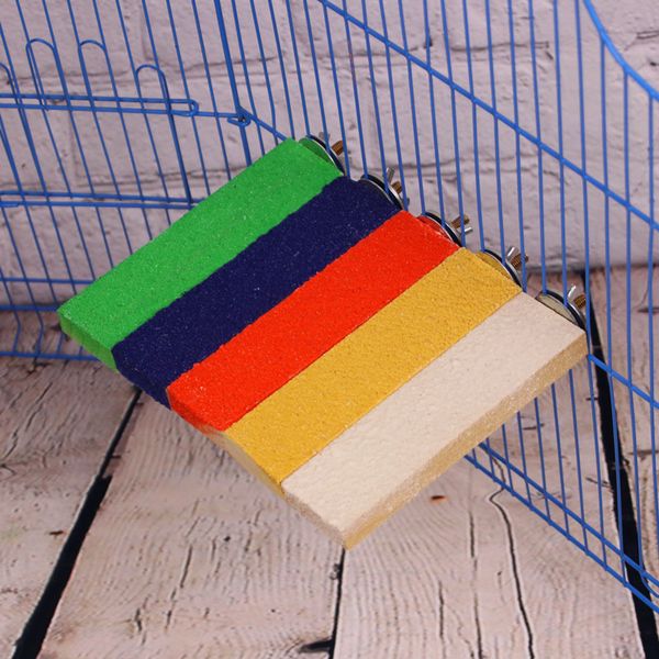 tiger skin peony diving platform squirrel scrath springboard bird grinding mouth good parrot toys matting pedal
tiger skin peony diving platform squirrel scrath springboard bird grinding mouth good parrot toys matting pedal