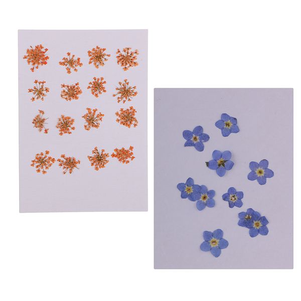 well preserved color and shape natural pressed dried flowers for resin molding decors jewelry/card making orange/ purple
well preserved color and shape natural pressed dried flowers for resin molding decors jewelry/card making orange/ purple