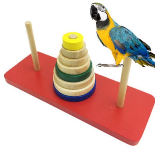 in large parrot alpinia oxyphylla set circle training mutual action intelligent development toys pets bird toys articles
in large parrot alpinia oxyphylla set circle training mutual action intelligent development toys pets bird toys articles