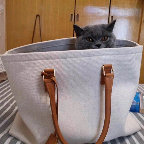 newset luxury jumbo canvas сумки на ремне сумки сумки конструктора женщин tote младенца кошелек crossbody пляж сумка пеленки сумки сумки для
newset luxury jumbo canvas сумки на ремне сумки сумки конструктора женщин tote младенца кошелек crossbody пляж сумка пеленки сумки сумки для