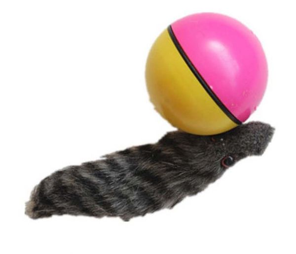 New Pet Weasel Funny Motorized Rolling Ball Appears Jump Moving Alive Toy beaver Chases Ball Electronic Pets IC654
New Pet Weasel Funny Motorized Rolling Ball Appears Jump Moving Alive Toy beaver Chases Ball Electronic Pets IC654