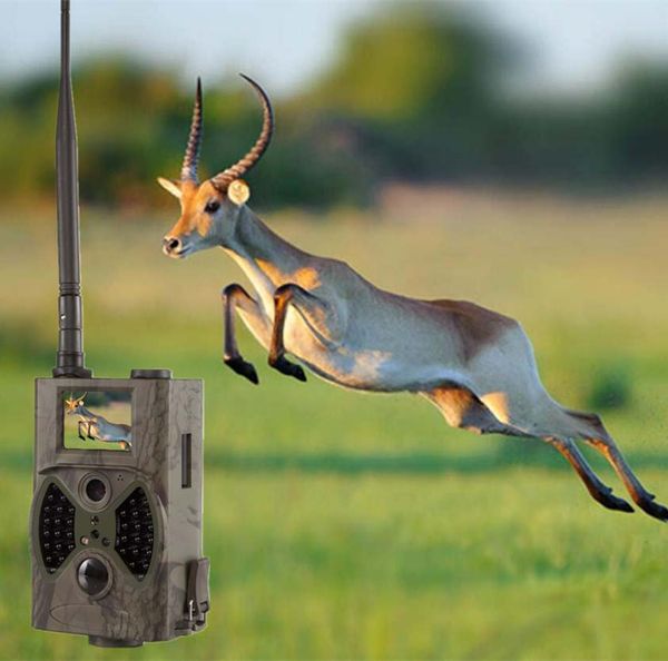 suntek hc300m hunting camera 2g gprs mms smtp sms 12mp 1080p pir sensor sight angle wildlife trail camera
suntek hc300m hunting camera 2g gprs mms smtp sms 12mp 1080p pir sensor sight angle wildlife trail camera