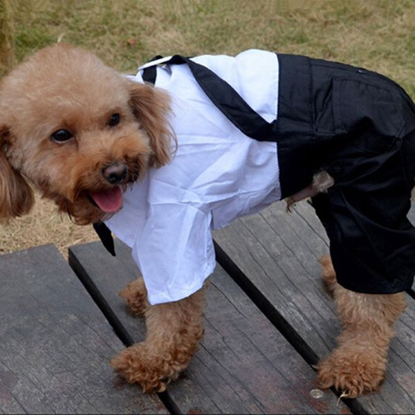 pet clothes dog trousers pet four-legged pants new pet suit pants