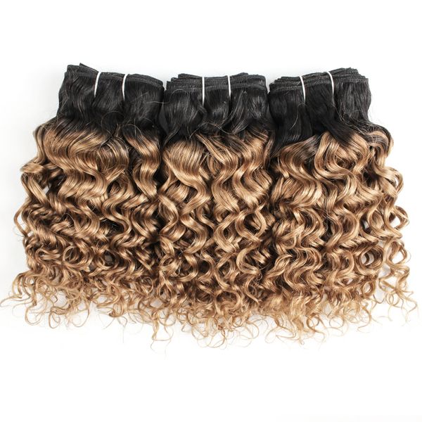 Бразильская завитые волна воды волос Пучки 1B 27 Ombre Honey Blonde 10 12 14 дюймов 3 Связки Remy ч
Бразильская завитые волна воды волос Пучки 1B 27 Ombre Honey Blonde 10 12 14 дюймов 3 Связки Remy ч