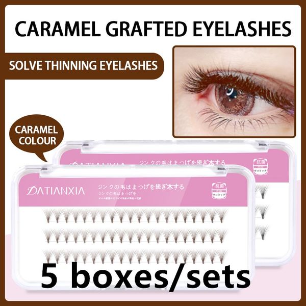 5 boxes/sets caramel colour premade fans volume 10d eyelash extension 0.05mm thick 3 rows short stem russian volume 10d lashes
5 boxes/sets caramel colour premade fans volume 10d eyelash extension 0.05mm thick 3 rows short stem russian volume 10d lashes