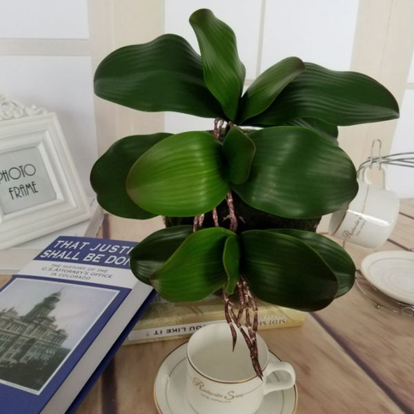 artificial orchid leaf green fake plants leaf tableartificial flowers wedding decor 16-40cm
artificial orchid leaf green fake plants leaf tableartificial flowers wedding decor 16-40cm