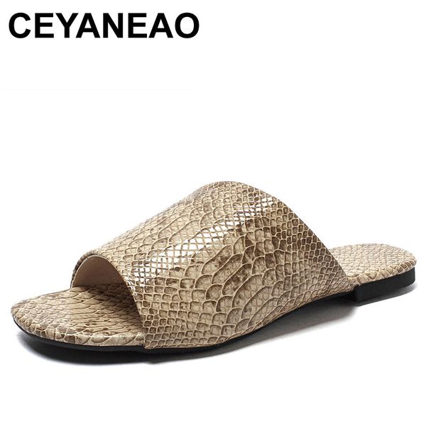 ceyaneao trendy casual slippers; women's shoes with open toe; flip flops; snake shoes; female slippers; women's summer shoes, Black
ceyaneao trendy casual slippers; women's shoes with open toe; flip flops; snake shoes; female slippers; women's summer shoes, Black