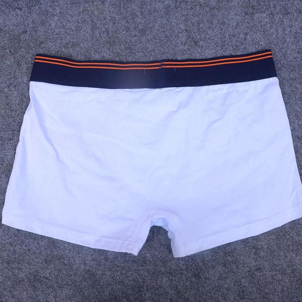 2020ss trend мужчину luxurys вышивка мужского трусы боксеры основной underwears мужской сексуальный хлопок трусы человек нижнего белье трусы, Black;white
2020ss trend мужчину luxurys вышивка мужского трусы боксеры основной underwears мужской сексуальный хлопок трусы человек нижнего белье трусы, Black;white
