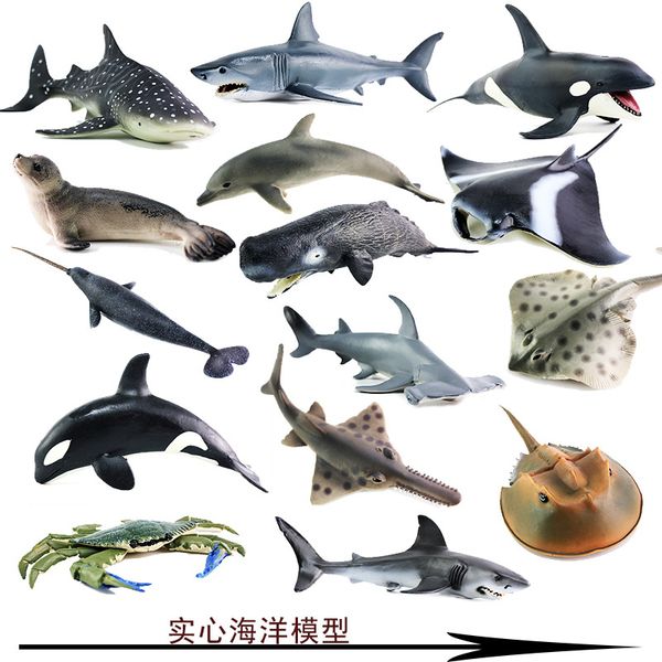 model marine organism animal model toy polar bear killer whales great white shark fish turtle dolphin blue whale
model marine organism animal model toy polar bear killer whales great white shark fish turtle dolphin blue whale