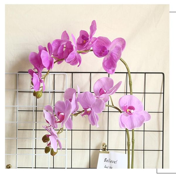 decorative flowers & wreaths phalaenopsis artificial flower plant bonsai wedding decoration ins wind simulation wall home rose
decorative flowers & wreaths phalaenopsis artificial flower plant bonsai wedding decoration ins wind simulation wall home rose