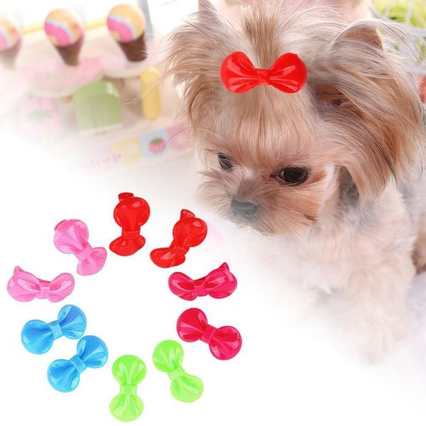 10pcs 50шт цвета конфеты resin pet cat шпилька щенок bowknot шпилька аксессуары ручной работы собак волос уход аксессуары
10pcs 50шт цвета конфеты resin pet cat шпилька щенок bowknot шпилька аксессуары ручной работы собак волос уход аксессуары
