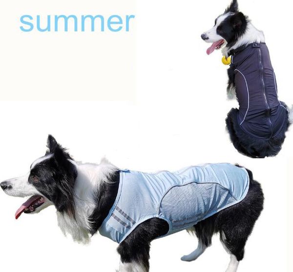 new spring/summer thin dog clothing reflective anti-wool sunscreen breathable mesh pet clothing pet clothing xs-2xl size 3 colors
new spring/summer thin dog clothing reflective anti-wool sunscreen breathable mesh pet clothing pet clothing xs-2xl size 3 colors