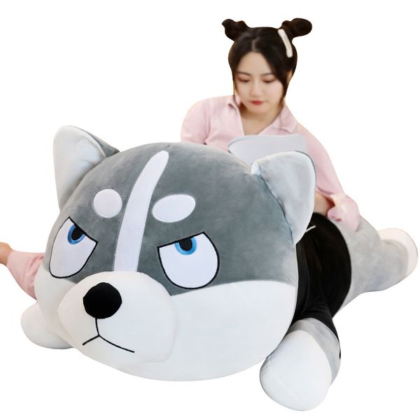dropshipping epacket shopify service siberian husky doll sweater dog plush toy large sleeping pillow doll birthday gift girl
dropshipping epacket shopify service siberian husky doll sweater dog plush toy large sleeping pillow doll birthday gift girl