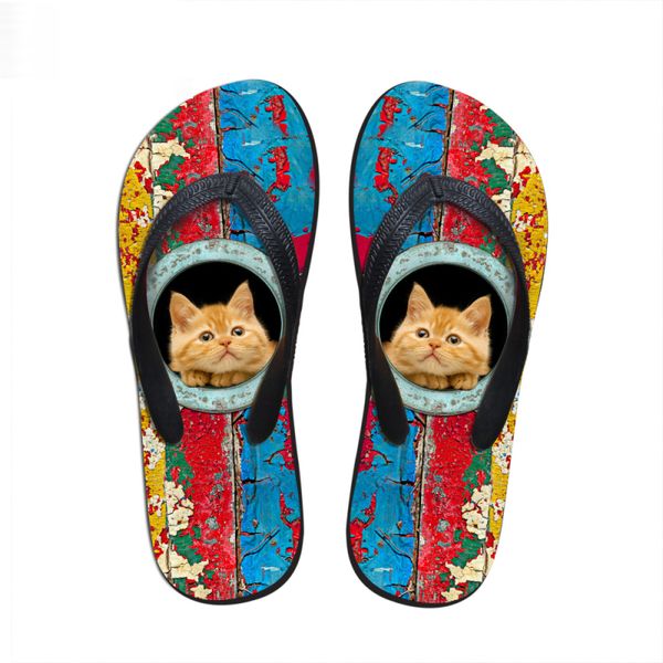 customized new 2019 fashion women rubber flip flops cute pet cat dog printed flip-flops female summer flipflops beach slipper, Black
customized new 2019 fashion women rubber flip flops cute pet cat dog printed flip-flops female summer flipflops beach slipper, Black