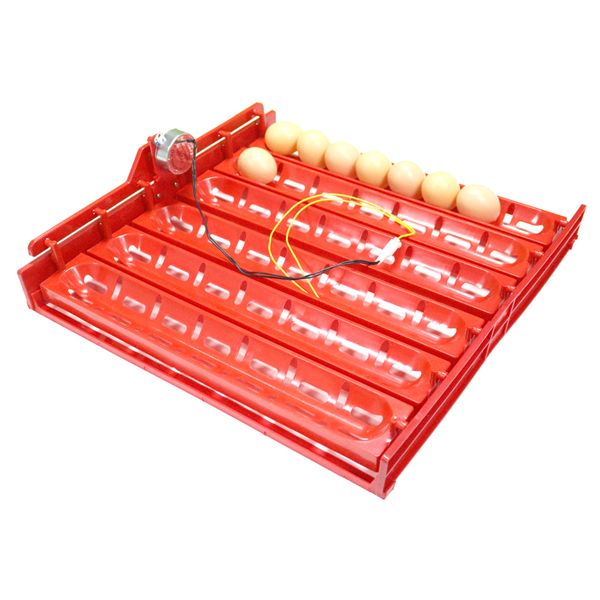 48-60 eggs 220v110v12v incubator turn eggs tray chicken duck goose birds eggs automatic incubator tray pet supplies
48-60 eggs 220v110v12v incubator turn eggs tray chicken duck goose birds eggs automatic incubator tray pet supplies