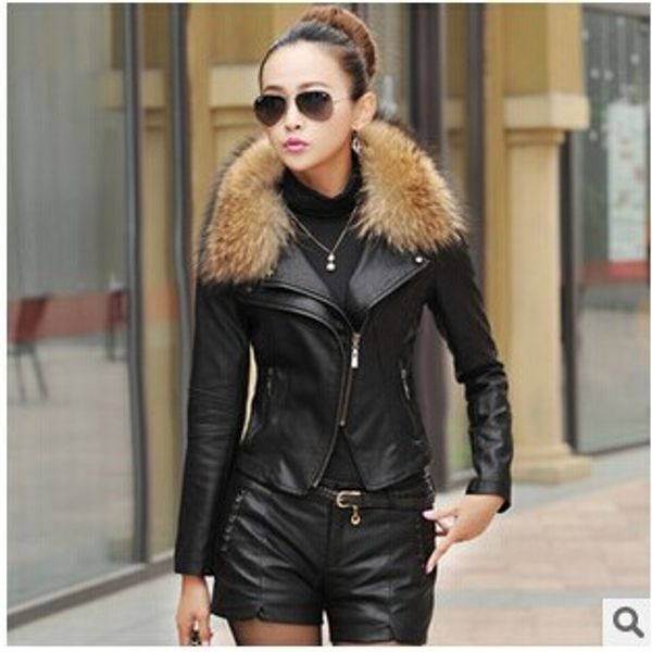 2017 autumn new women genuine racoon dog fur collar leather jacket slim stand collar plus cotton motorcycle leather jacket 3xl, Black
2017 autumn new women genuine racoon dog fur collar leather jacket slim stand collar plus cotton motorcycle leather jacket 3xl, Black