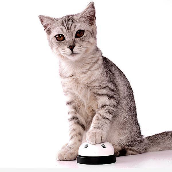 pet dog training bell practical training bell with non-skid rubber bottom cute printed communication device for pet
pet dog training bell practical training bell with non-skid rubber bottom cute printed communication device for pet