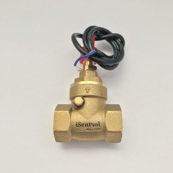 

usp-fs21ta normally open circuit paddle flow switch 70w max load dc250v ac220v max reliable bsp g 1/2" female made of brass